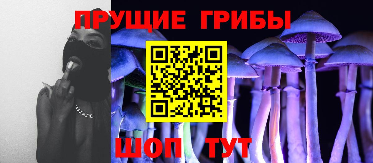 Галлюциногенные грибы Psilocybine cubensis Новошахтинск