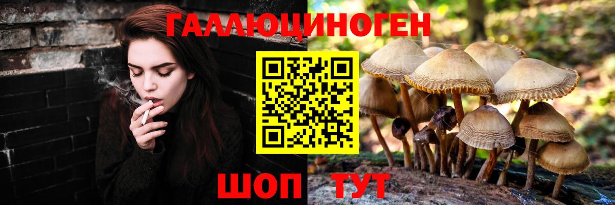 Новошахтинск  Псилоцибиновые грибы мицелий  Вход с VPN 